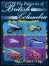 Fly Patterns of British Columbia