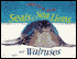 Seals, Sea Lions, and Walruses (Animals of the Ocean Series)