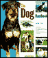 The Dog Handbook