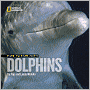 Face to Face with Dolphins