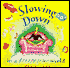 Slowing down in a Speeded-Up World