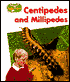 Centipedes and Millipedes