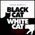 Black Cat, White Cat: A Pop-up Book of Opposites