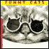 Funny Cats