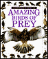 Amazing Birds Of Prey