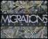 Migrations: Wildlife in Motion