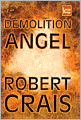 Demolition Angel