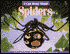 I Can Read about Spiders