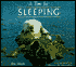 A Time for Sleeping