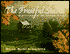 The Fruitful Season: Meditations for the Autumn of Life