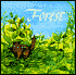 The Forest