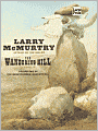 The Wandering Hill (Berrybender Narratives Series #2)