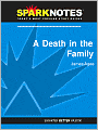 A Death in the Family (SparkNotes Literature Guide Series)