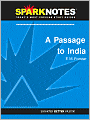 A Passage to India (SparkNotes Literature Guide Series)