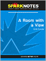 A Room with a View (SparkNotes Literature Guide Series)