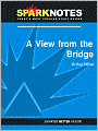 A View from the Bridge (SparkNotes Literature Guide Series)