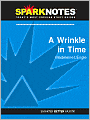 A Wrinkle in Time (SparkNotes Literature Guide Series)