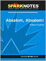 Absalom, Absalom! (SparkNotes Literature Guide Series)
