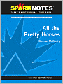 All the Pretty Horses (SparkNotes Literature Guide Series)