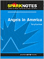 Angels in America (SparkNotes Literature Guide Series)