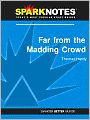 Far from the Madding Crowd (SparkNotes Literature Guide Series)