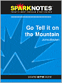 Go Tell it on the Mountain (SparkNotes Literature Guide Series)