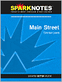 Main Street (SparkNotes Literature Guide Series)