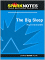 The Big Sleep (SparkNotes Literature Guide Series)