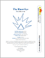 The Bluest Eye (SparkNotes Literature Guide Series)