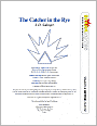 The Catcher in the Rye (SparkNotes Literature Guide)