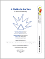 A Raisin in the Sun (SparkNotes Literature Guide Series)