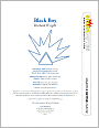 Black Boy (SparkNotes Literature Guide Series)