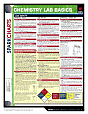 Chemistry Lab Basics (SparkCharts)