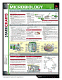 Microbiology (SparkCharts)