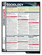 Sociology (SparkCharts)