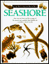 Seashore
