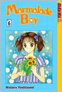 Marmalade Boy, Volume 6