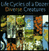 Life Cycles of a Dozen Diverse Creatures
