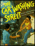 Car Washing Street