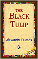 The Black Tulip