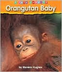 Orangutan Baby