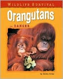Orangutans in Danger