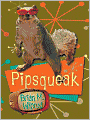 Pipsqueak