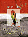 Forcing Amaryllis