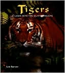 Tigers: A Look into the Glittering Eye