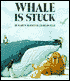 Whale Gets Stuck