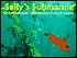 Sally's Submarine