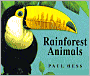 Rainforest Animals