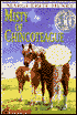 Misty of Chincoteague