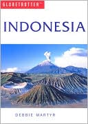 download Indonesia Travel Guide book